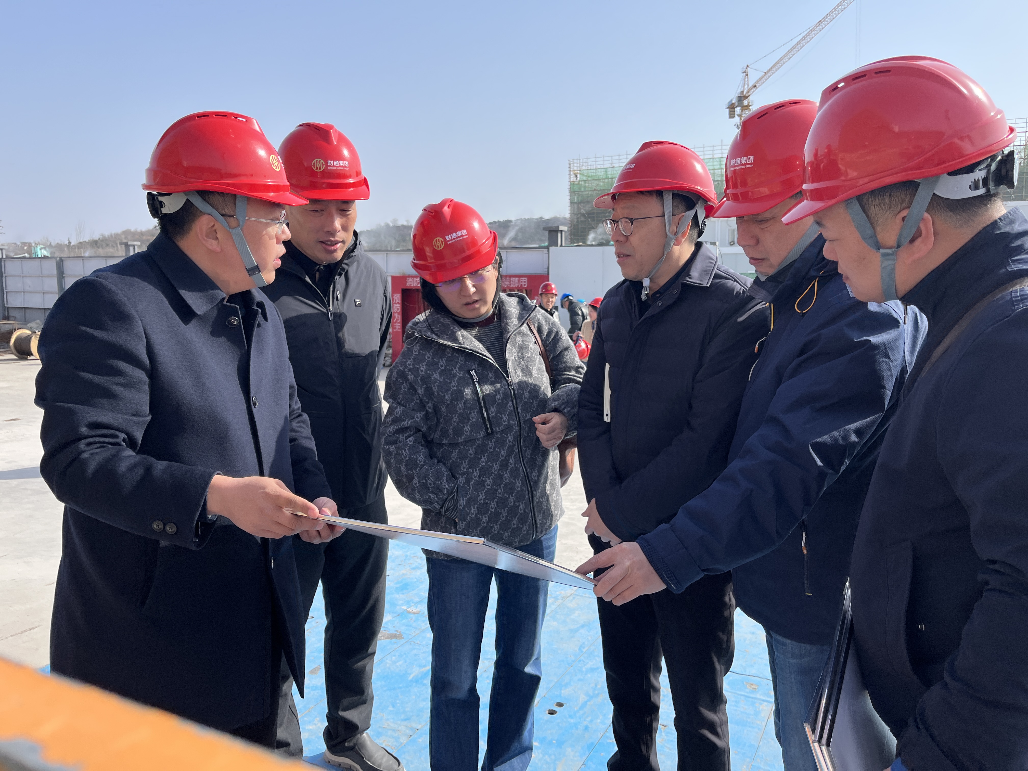 �徲���������Ƭ