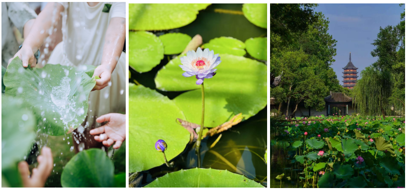 ΢��ͼƬ_20250210095114