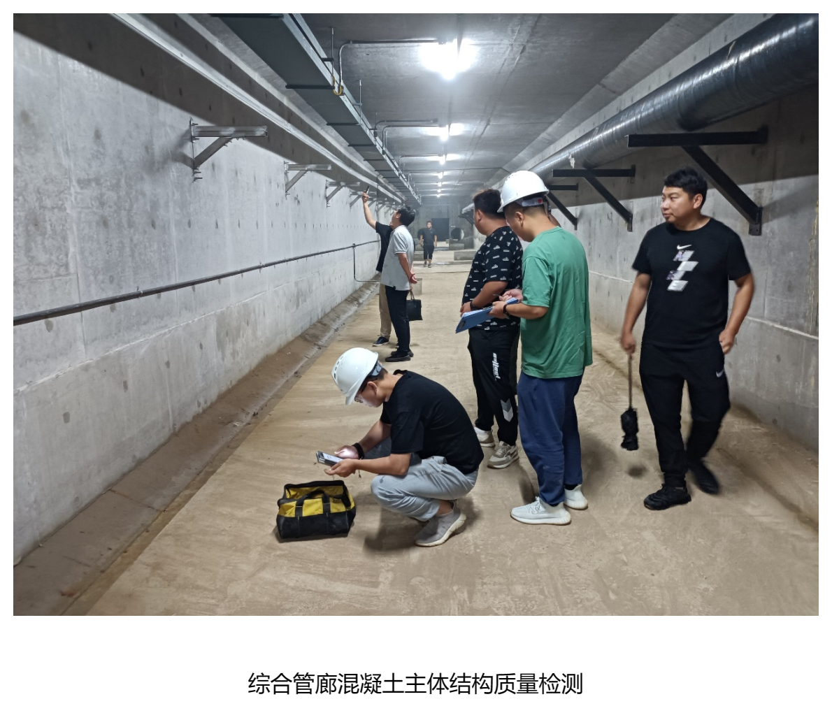 ag����(�й���)����